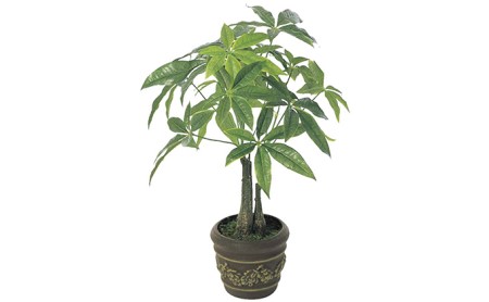 光の楽園　パキラポットM【配送不可：北海道・沖縄・離島】 雑貨 日用品 植物 造花