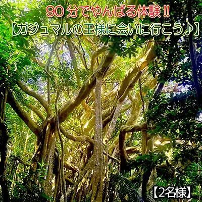 沖縄県北部やんばる・ガジュマルの王様に会いに行こう♪【2名様】