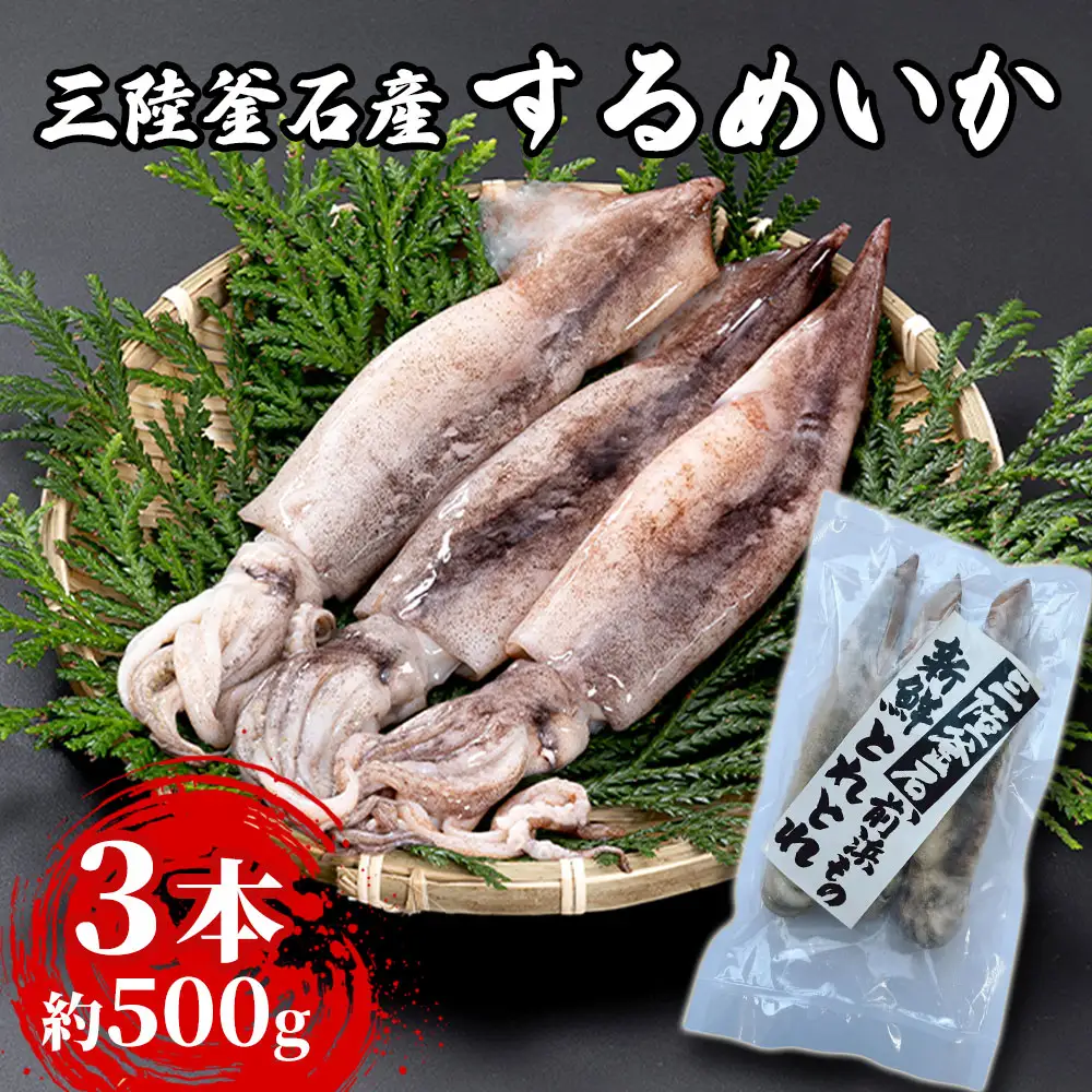 fn-64-001 三陸釜石産 するめいか 小分けサイズ 3本パック 約500g 阪神低温