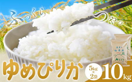 令和7年産 ゆめぴりか 10kg 5kg×2袋 田中農園 北海道