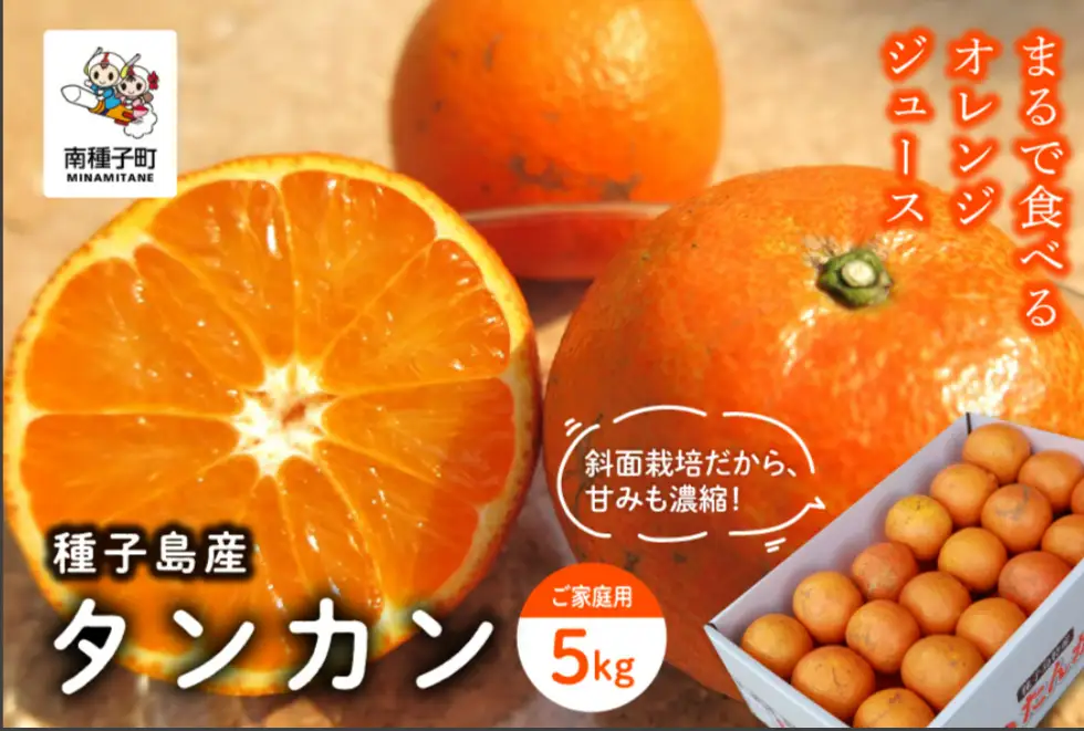 《 先行予約 》種子島産 タンカン (ご家庭用) 約5kg (24玉～36玉)【2027年2月中旬～3月中旬頃順次発送】【訳あり】【南種子町果樹部会】