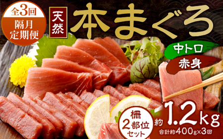 【定期便/計3回】天然本マグロ 400g（天身・中トロ） 【まぐろ】tk171