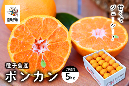 《 先行予約 》種子島産 ポンカン (ご家庭用) 約5kg (24玉～36玉)　【2026年12月中旬頃～1月中旬頃順次発送】【訳あり】【南種子町果樹部会】