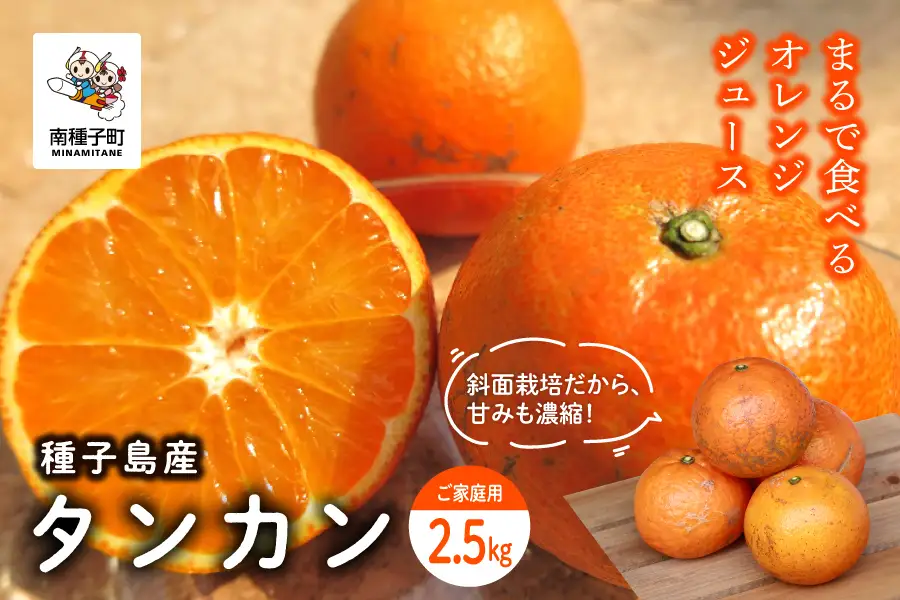 《 先行予約 》種子島産 タンカン (ご家庭用)約2.5kg（12～18玉）【2027年2月中旬～3月中旬頃順次発送】【訳あり】【南種子町果樹部会】