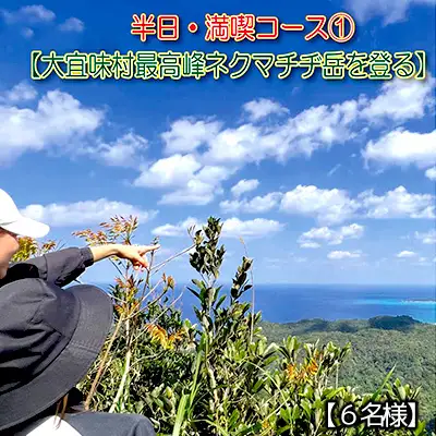 沖縄県北部やんばる・大宜味村最高峰ネクマチヂ岳を登る【6名様】