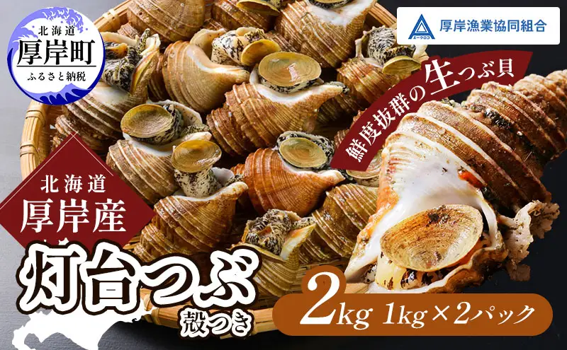 先行受付 北海道 厚岸産 殻灯台 つぶ 2kg（1kg×2パック） 魚介類 海の幸 海産物 海鮮 貝 つぶ貝 希少 下処理不要 刺身 塩茹で お酒のあて つまみ 国産 北海道産 