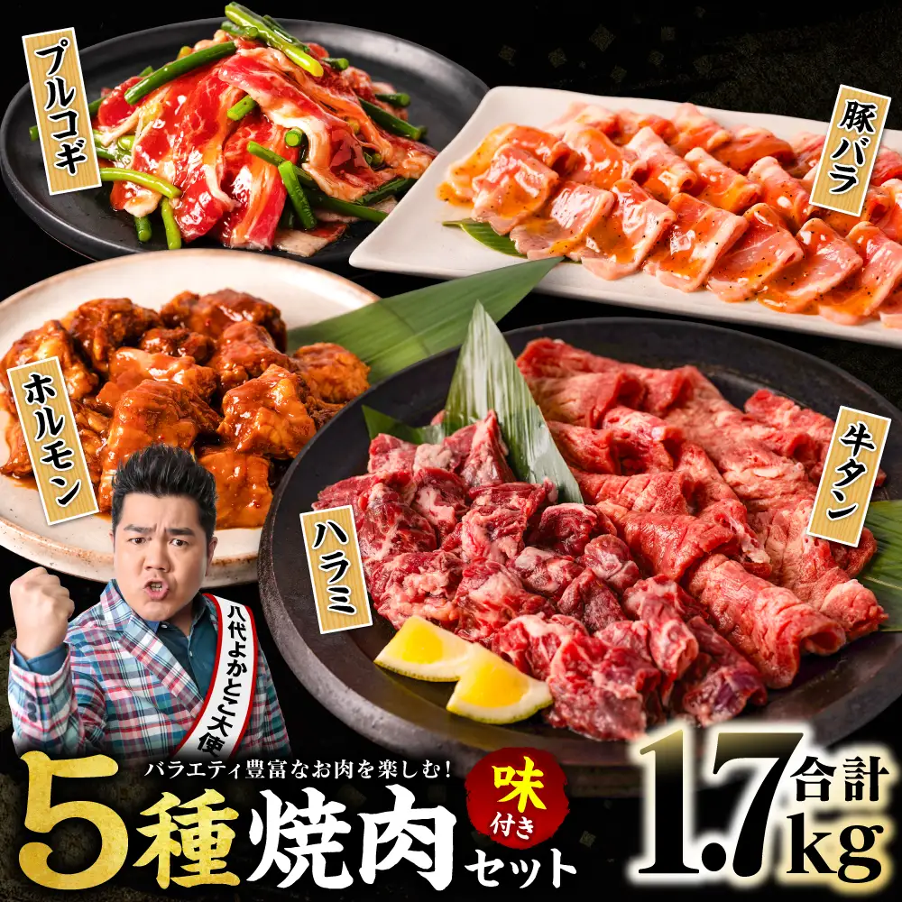 【訳あり】 焼肉セット 5種盛り 計1.7kg 牛肉 タン ハラミ みそ ホルモン プルコギ 豚バラ 豚肉 カルビ 肉 味付き おかず 焼き肉 炒め物 お惣菜 おつまみ バーベキュー