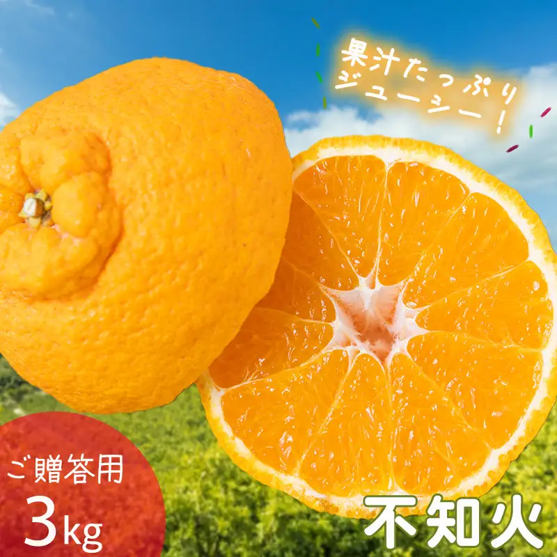 【2027年2月下旬頃から順次発送】不知火 しらぬい 約3kg 【ご贈答用】でこぽんと同品種 柑橘類 先行予約 フルーツ 柑橘類 先行予約 果物 フルーツ みかん シラヌイ 人気 おすすめ 愛媛 松山 田中農園【TNN0022】