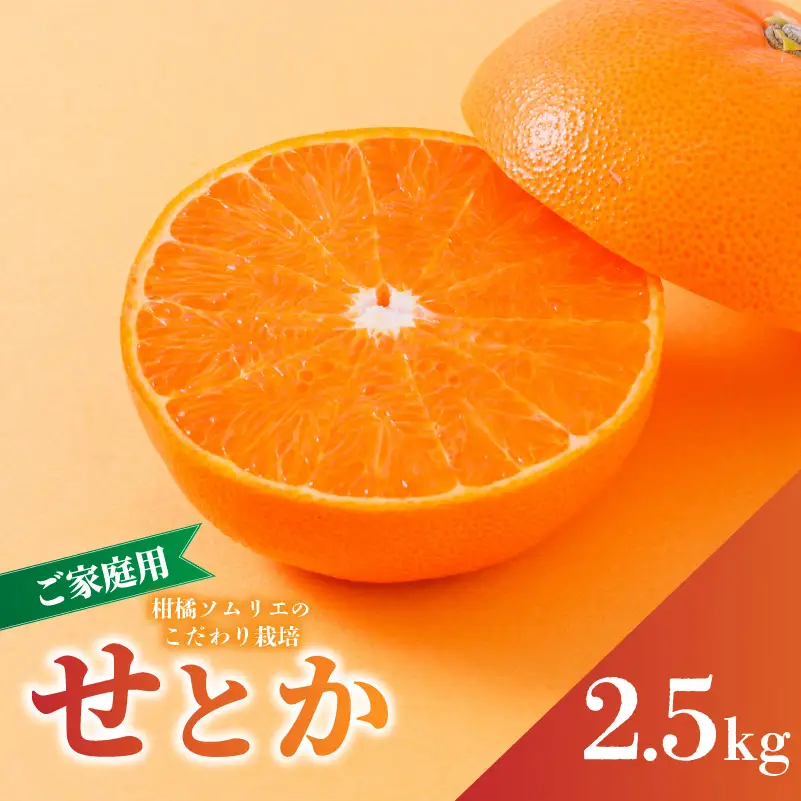 【2027年2月下旬から順次発送】せとか B品 家庭用 2.5kg | セトカ みかん 蜜柑 柑橘 甘い 高級 果物 フルーツ おすすめ 人気 愛媛三大柑橘（ 紅まどんな せとか 甘平 ） 愛媛 松山【RNK0042】
