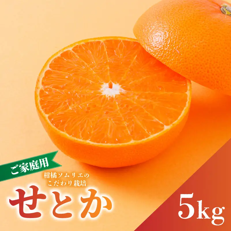 【2027年2月下旬から順次発送】せとか B品 家庭用 5kg | セトカ 愛媛産 愛媛県産 国産 愛媛みかん 愛媛蜜柑 愛媛ミカン みかん ミカン mikan 蜜柑 柑橘 フルーツ 果物 くだもの お取り寄せ 産地直送 数量限定 人気 おすすめ 愛媛三大柑橘（ 紅まどんな せとか 甘平 ） 愛媛県 松山市【RNK0052】