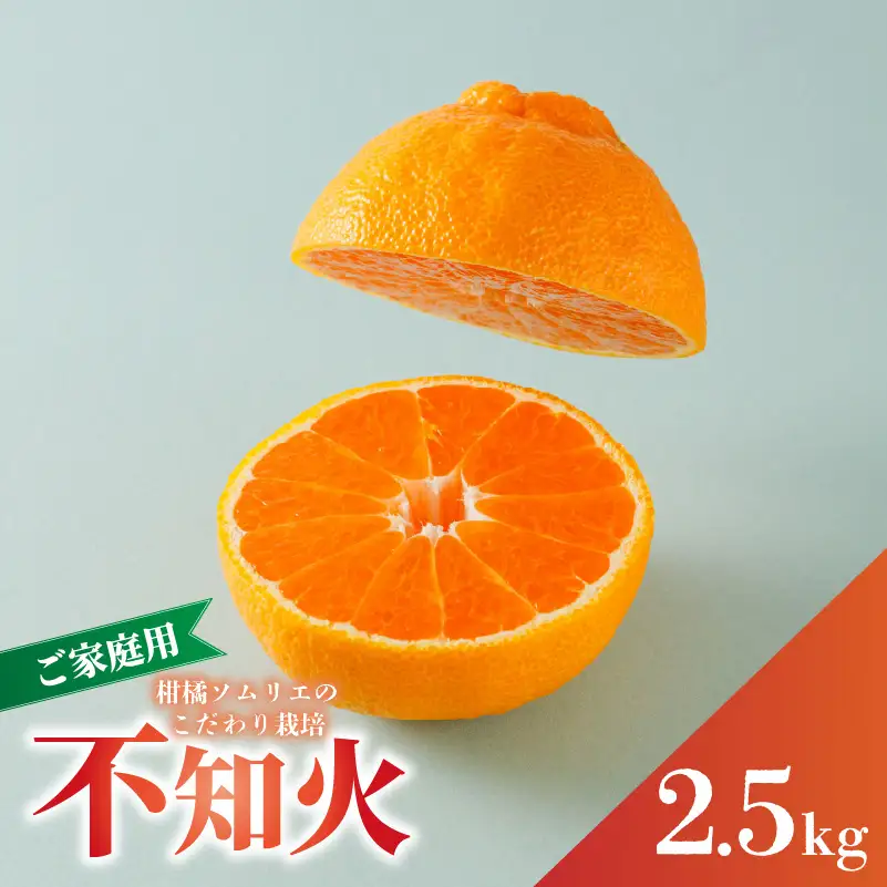 【2027年3月上旬頃から順次発送】【デコポン と同一品種】 不知火 B品 家庭用 2.5kg でこぽん【RNK0062】