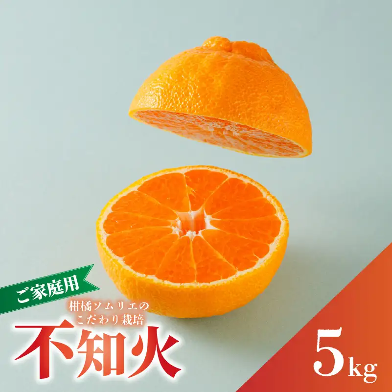 【2027年3月上旬頃から順次発送】【デコポンと同品種】不知火 B品 家庭用 5kg でこぽん【RNK0072】