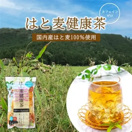 はと麦健康茶ティーバッグ (7.5g×24パック)×【15入】【1434779】