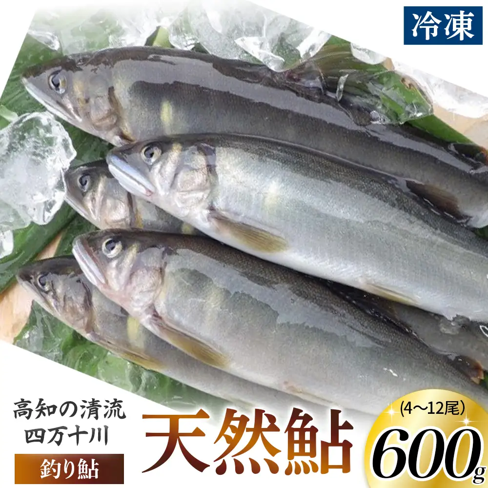 【四万十川上流の天然鮎】冷凍 4～12尾（600g）Esj-40k 釣り鮎 あゆ あゆ