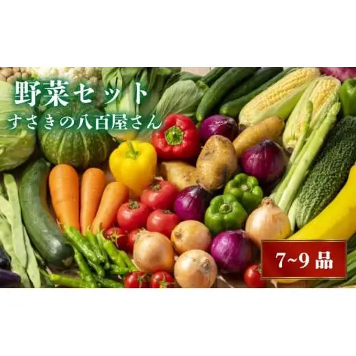 【 野菜 】 野菜セット 7～9品目