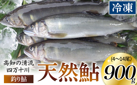 四万十川上流の天然鮎　釣り鮎【冷凍4～14尾】Esj-41k あゆ アユ 魚 魚介 川魚 塩焼き 鮎 天然 900g レシピ付 天然