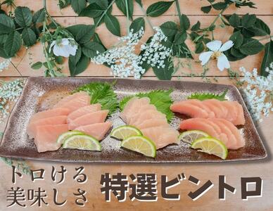 特選 ビンチョウマグロ【 トロビンチョウ 】 M081-005 冷凍 マグロ