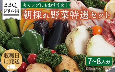 ☆キャンプにもおすすめ☆バーベキュー・グリル用朝採れ野菜特選セット【福岡県糸島産】(7-8人分) 糸島市 / オーガニックナガミツファーム 野菜 詰め合わせ 	[AGE039]