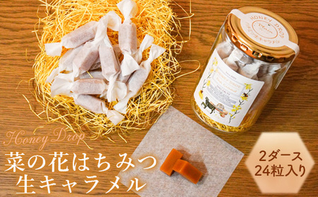 【HONEY DROP】菜の花はちみつ生キャラメル2ダース（24粒入り）【75000101】