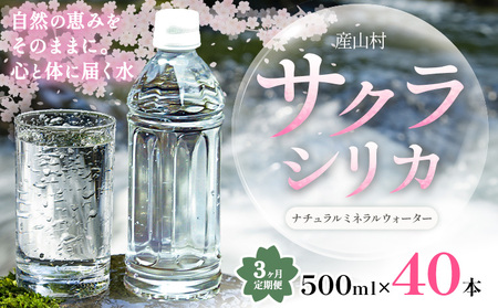 【3ヶ月定期便】天然水 サクラシリカ 500ml × 40本 みずの里 天然水