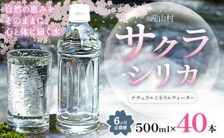 【6ヶ月定期便】天然水 サクラシリカ 500ml × 40本 みずの里 天然水