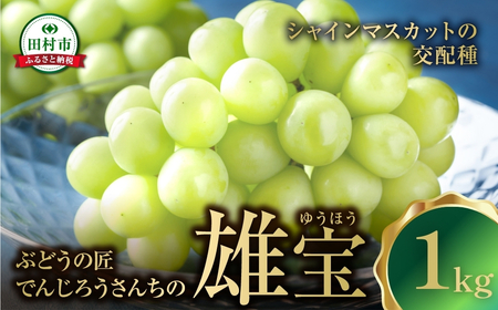 先行予約 雄宝  -ゆうほう- 1kg ぶどう フルーツ 福島県 田村市 