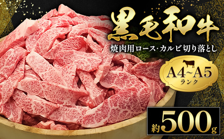 黒毛和牛 焼肉用 切り落とし 500g 田中畜産 黒毛和牛