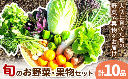 野菜 果物 詰め合わせセット 自然栽培 10品