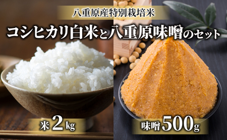 【太陽と大地】令和7年産「八重原産特別栽培米（減農薬・減化学肥料栽培）コシヒカリ（白米）２kg」と「信州味噌「八重原味噌」５００ｇ」セット