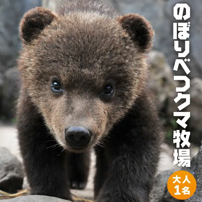のぼりべつクマ牧場入場券 大人（中学生以上）1名様