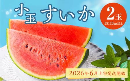 熊本県産 小玉すいか 2玉 スイカ 果物 フルーツ くだもの 西瓜【2026年6月上旬～6月下旬迄順次発送予定】