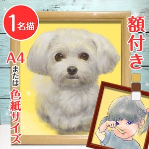 [額付き] 似顔絵 1名分 [人気似顔絵師「toto」] Mサイズ(A4) または色紙サイズ [0597]