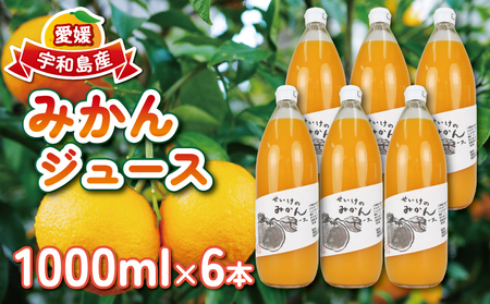 みかん ジュース 1,000ml×6本 清家 ジュース H036-170002