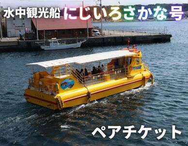 水中観光船 にじいろさかな号 ペアチケット M033-001 チケット 体験