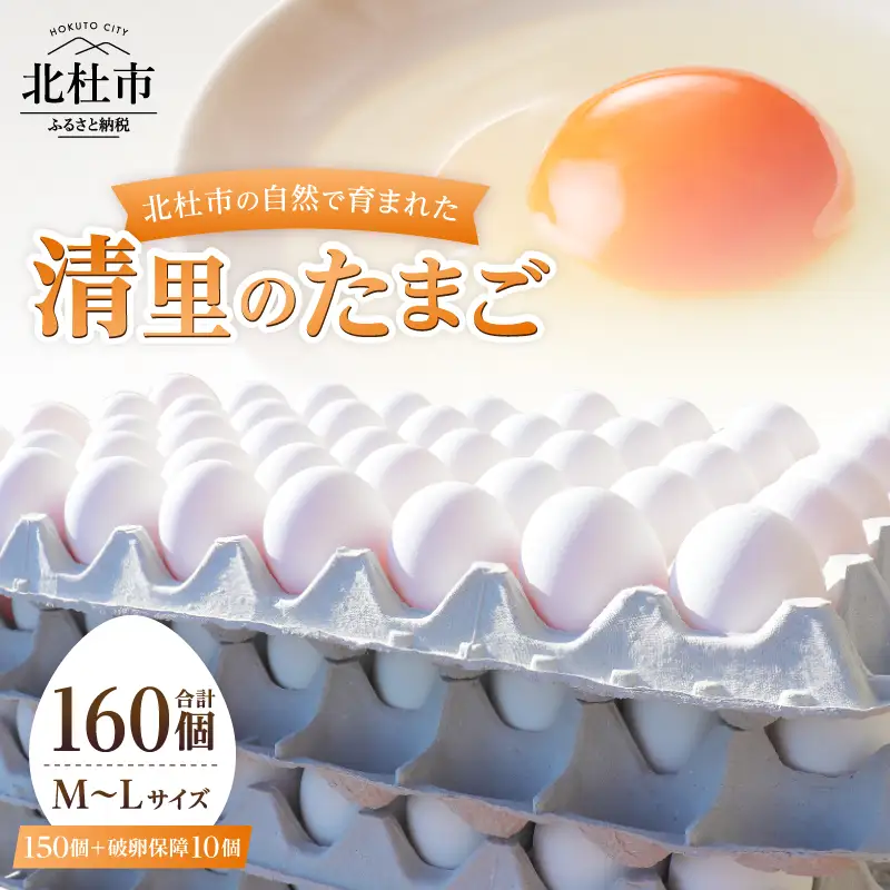 ハイチック 清里のたまご 160個（破卵保証10個含む） [h081]