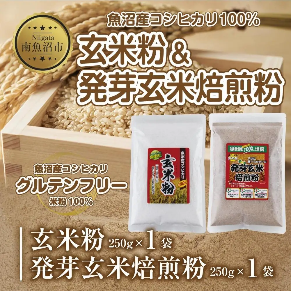 新潟県産 玄米粉 発芽玄米焙煎粉 セット 各250g 計500g 魚沼産 コシヒカリ 玄米 アレルギー グルテンフリー GABA 米粉 お取り寄せ お菓子 パン作り 製菓 コパフーズ 新潟県 南魚沼市