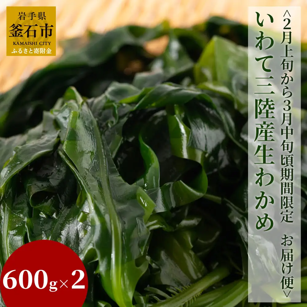 fn-39-013 いわて三陸産生わかめ【2月上旬から3月中旬頃お届け便】 ヤマキイチ商店