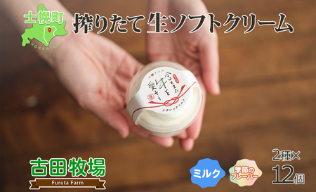北海道 古田牧場 生 ソフトクリーム 2種 140ml×12個 ミルク 季節限定 牧場 アイスクリーム 牛乳 生乳 スイーツ デザート 詰め合わせ 詰合せ 十勝 士幌町【MB01】