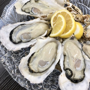 fn-42-002 ＜6月～7月頃にかけて順次発送予定＞【海洋深層水仕込み】釜石湾・尾崎牡蠣　20個セット 日本かきセンター