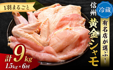 【６回定期便 】朝びき！信州黄金シャモ1羽まるごとセット（冷蔵）　地鶏