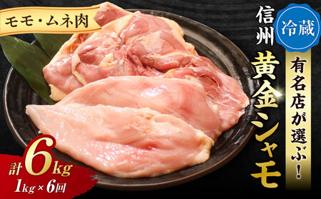 【6回定期便 】朝びき！信州黄金シャモモモ・ムネ肉セット　地鶏