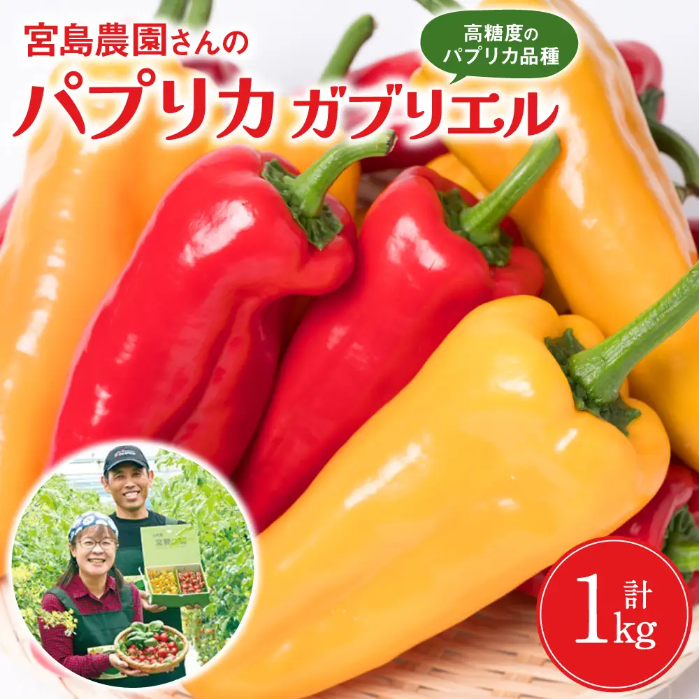 パプリカ パプリカ ガブリエル 1kg 八代市産 宮島農園 野菜 新鮮野菜 緑黄色野菜