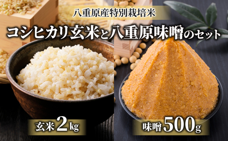 【太陽と大地】令和7年産「八重原産特別栽培米（減農薬・減化学肥料栽培）コシヒカリ（玄米）２kg」と「信州味噌「八重原味噌」５００g」セット