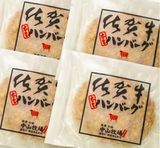 うまみの凝縮！佐賀牛ハンバーグ 130g×4個【フルーム】[FAZ001]