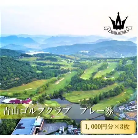 ゴルフ場利用クーポン(3,000円分)【1428556】