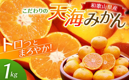 【先行予約】完熟早生みかん　宮川早生１kg※2026年12月から順次発送予定※【期間限定・12/20まで受付】 / 和歌山県 ミカン フルーツ 果物 柑橘 田辺市 【nak004】