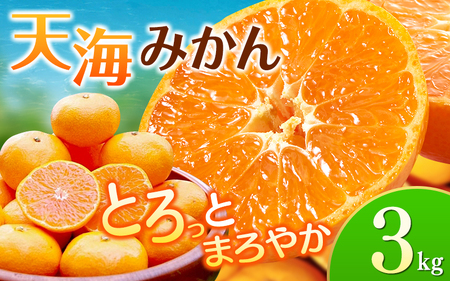 【先行予約】完熟早生みかん　宮川早生３kg※2026年12月から順次発送予定※ 【期間限定・12/20まで受付】/ 和歌山県 ミカン フルーツ 果物 柑橘 田辺市 【nak005-1】