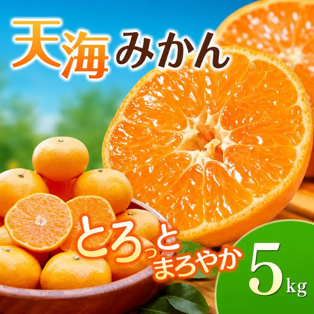 【みかん】宮川早生 完熟早生みかん 5kg 【nak006-1】