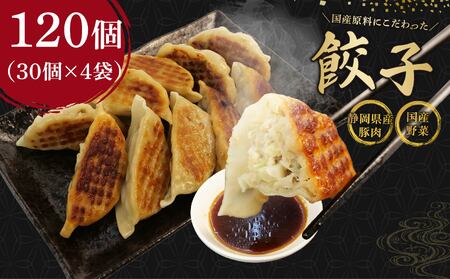 冷凍餃子 120個 餃子 国産豚肉 ぎょうざ ギョーザ