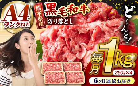 【6回定期便】熊本県産 黒毛和牛 切り落とし 計約1kg (約250g×4P)【有限会社九州食肉産業】九州 熊本県産 切り落とし 小分け 牛肉 和牛 国産 A4 A5ランク 小分け [ZDQ033]